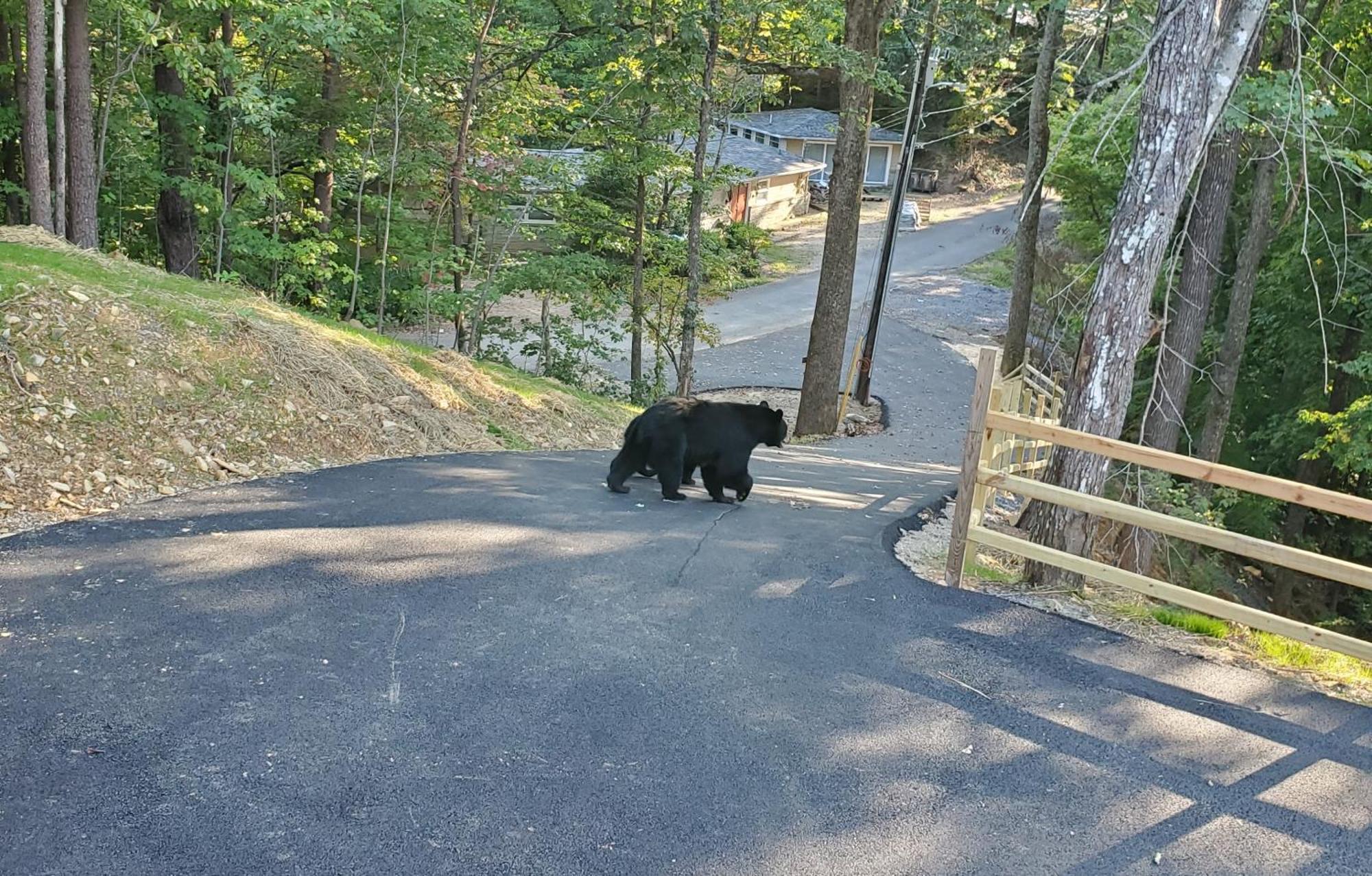 Can'T "Bear" To Leave Villa Sevierville Kültér fotó